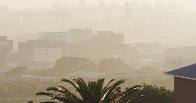 Urban landscape with an industrial skyline shrouded in morning haze. Rooftops and cranes are visible against the atmospheric fog. Palm trees provide a foreground focal point, suggesting a juxtaposition of natural and urban environments. This image can be used for topics related to pollution, urban planning, environmental concerns, or city life. Ideal for blogs, environmental reports, and travel articles.