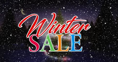 Winter Sale Promotion with Festive Night and Snowflakes