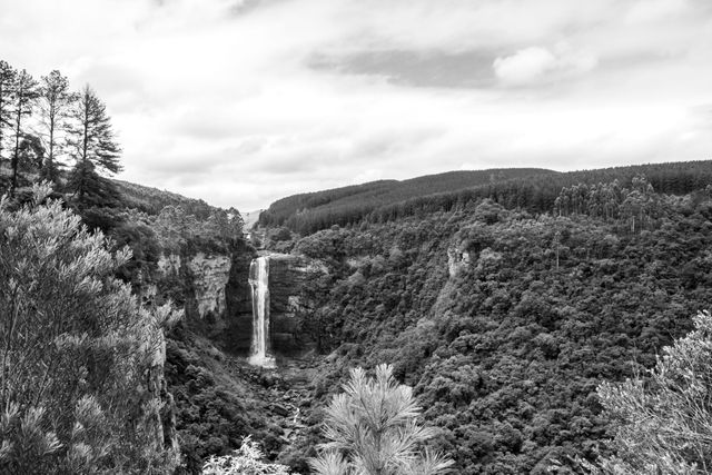 This image offers a breathtaking view of a forested valley with a waterfall cascading down from a height. The black and white effect adds a timeless feel, emphasizing the textures and contrasts in the landscape. Perfect for use in nature photography collections, environmental projects, travel advertisements, and backgrounds for websites and presentations related to nature and outdoors.