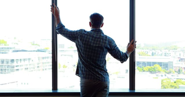 Rear view of male executive looking through window in office