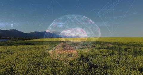 Futuristic Brain Graphic Over Scenic Flowering Field