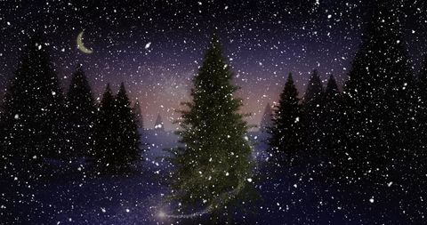 Winter Wonderland with Snow and Illuminated Christmas Tree - Download Free Stock Images Pikwizard.com