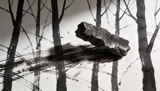 Charred wood fragment resting diagonally over ink trunk strokes casting minimalist shadow
