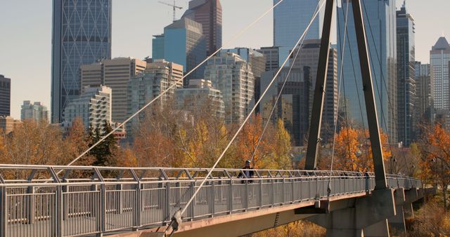 Person Walking on Modern Bridge in Urban Fall Setting - Download Free Stock Images Pikwizard.com
