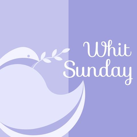 Whit Sunday Dove and Olive Branch Graphic on Lilac Background - Download Free Stock Templates Pikwizard.com