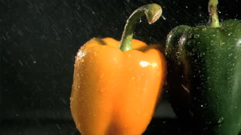 Colorful Fresh Peppers Sprayed with Water on Black Background