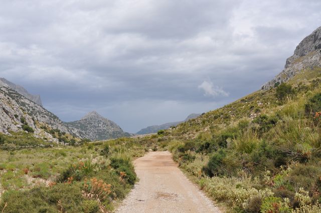 This image captures a rugged dirt road cutting through a mountainous landscape under a cloudy sky. Ideal for use in travel, outdoor adventure, hiking concepts, nature exploration, and promotional materials for national parks or eco-tourism. The serene scene evokes a sense of solitude and connection to nature, making it suitable for inspirational and motivational content about journeys and discovering hidden paths.