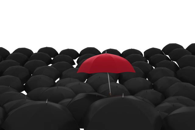 Red Umbrella Standing Out Amidst Black Umbrellas on Transparent Background - Download Free Stock Videos Pikwizard.com