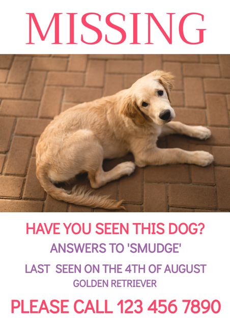Poster features a Golden Retriever lying on a brick floor with details about the missing pet. Suitable for use by pet owners who have lost their dog and are making a public plea. Effective for sharing in local communities, veterinary offices, and social media platforms with detachable contact details for easy access.