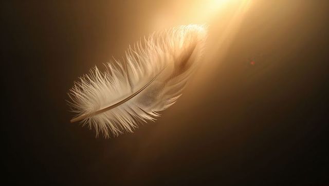 Delicate white feather floating in warm backlit glow with golden light, minimal calm