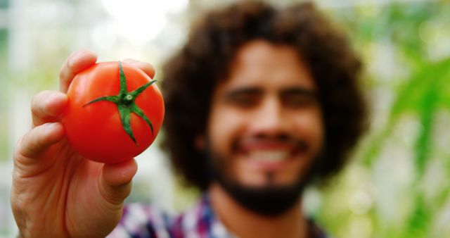 Smiling Man Holding Freshly Picked Tomato in Garden - Download Free Stock Images Pikwizard.com