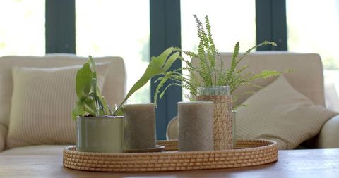 Peaceful Living Room Decor with Wicker Tray and Plants - Download Free Stock Images Pikwizard.com