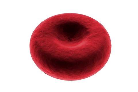 Red 3D Abstract Shape on Transparent Background