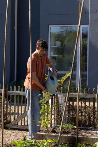 Teenage boy watering raised garden bed with pale blue can in sunlit backyard