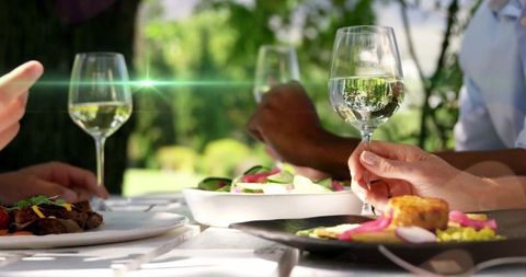Outdoor Dining with Wine and Gourmet Dishes in Garden Setting