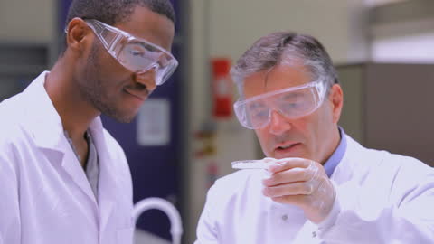 Scientists Focused on Chemical Experiment in Laboratory