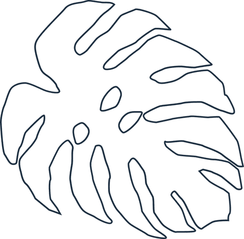Stylized Monstera Leaf Line Art on Transparent Background - Download Free Stock Videos Pikwizard.com