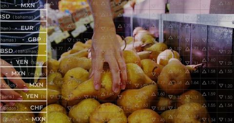 Reaching hand selecting ripe pears at market with stock market currency data overlay