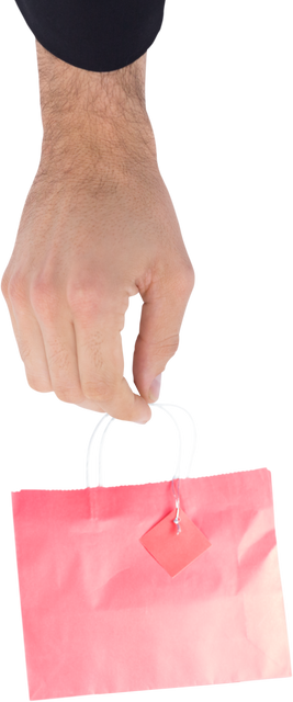 Hand Holding Pink Bag on Transparent Background - Download Free Stock Videos Pikwizard.com