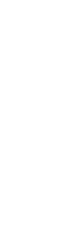 Silhouette of Man Holding Trophy on Transparent Background