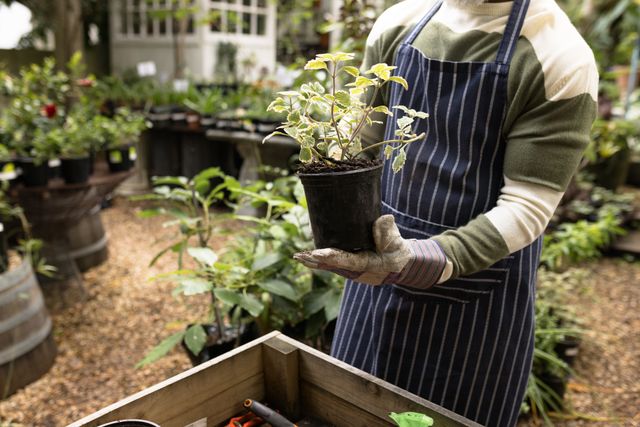 African american man working in garden and holding pot. Spending quality time in garden nursery concept.