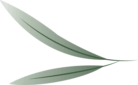 Transparent Background Floating Green Botanical Leaves Illustration - Download Free Stock Videos Pikwizard.com