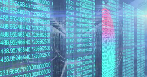 Digital Fingerprint Authentication Over Coding Data Imagery