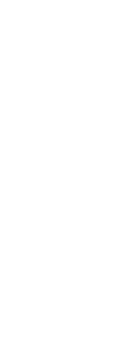 Vector of Cheering Silhouette on Transparent Background