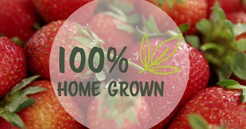 Fresh home grown strawberries for healthy living