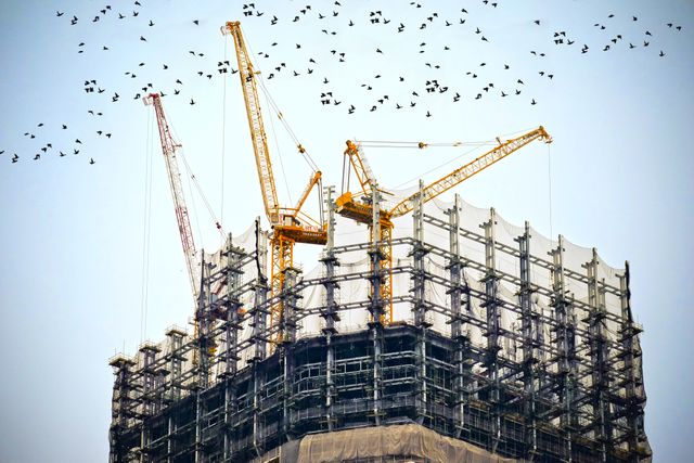 High-rise building under construction with multiple cranes seen against sky with flock of birds flying over. Steel framework and scaffolding surround the structure. Ideal for illustrating urban development, city growth, construction projects, and industrial themes.