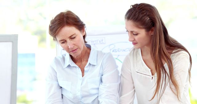 Two Women Collaborating on Business Project - Download Free Stock Images Pikwizard.com