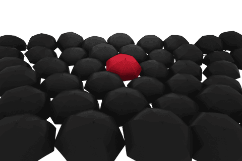 red umbrella among black umbrellas on transparent background - Download Free Stock Videos Pikwizard.com
