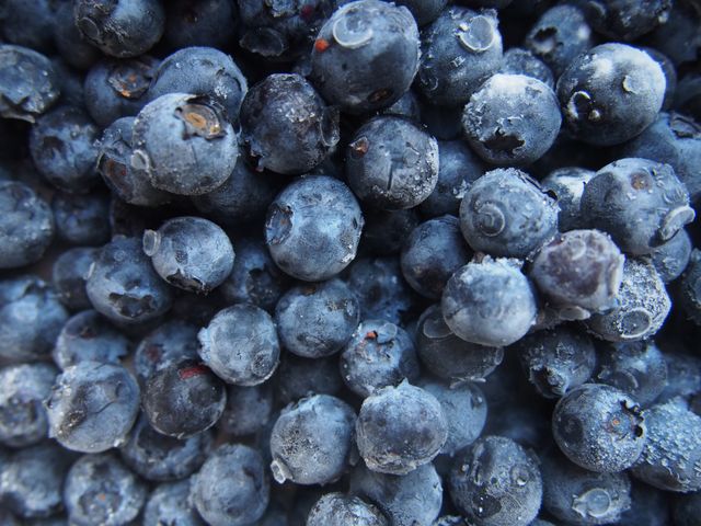 Blueberries fruits food  - Download Free Stock Photos Pikwizard.com