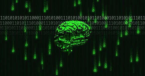 Green Digital Brain with Binary Code Flow - Download Free Stock Images Pikwizard.com