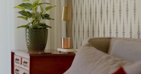 Cozy Living Room Corner with Plant and Decorative Jar