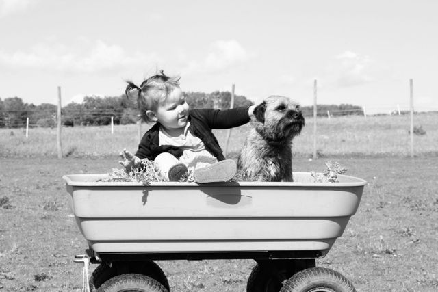 Cart baby todler pet - Download Free Stock Photos Pikwizard.com