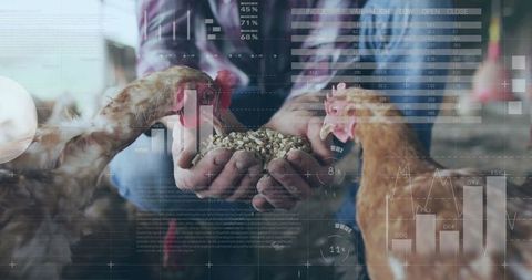 Farmer Feeding Chickens with Digital Agriculture Analytics Overlay