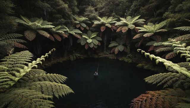 Solitary angler casting in fern-ringed rainforest pond, tranquil circular waterhole