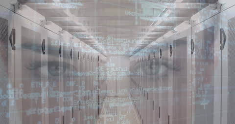 Data Security Animation with Human Element in Digital Environment