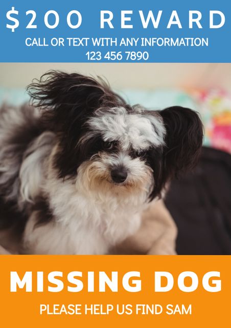 This poster can be used to alert about a missing dog, featuring a reward offer and contact information. The design highlights the contact number clearly, making it easy to reach out with any information. Ideal for creating awareness in the local community.