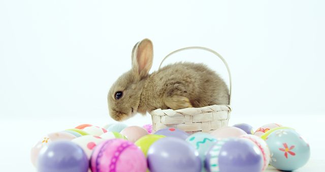 A small brown bunny sits beside a basket surrounded by colorful Easter eggs, with copy space. The image evokes the festive spirit of Easter and symbolizes springtime celebrations.