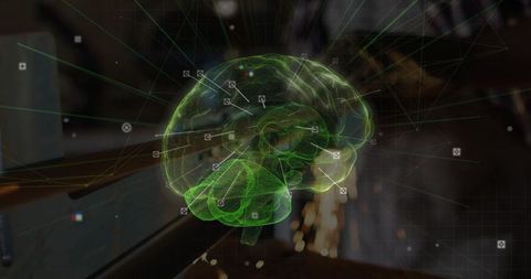 3D Holographic Brain Model with Data Annotations in Workshop