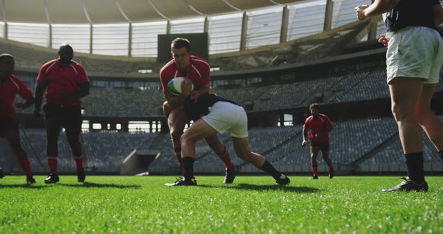 Rugby players actively competing on field, showcasing energy and teamwork. Ideal for sports promotions, articles on rugby, team spirit, and sports events advertising.