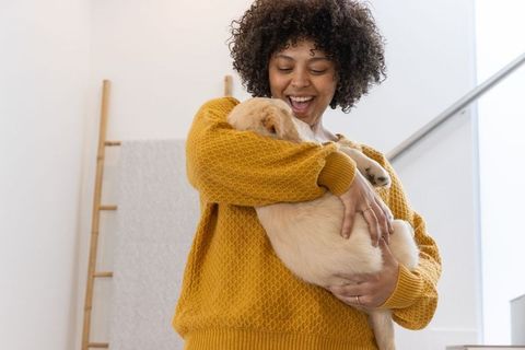 Joyful young woman holding golden retriever puppy in mustard sweater on modern staircase