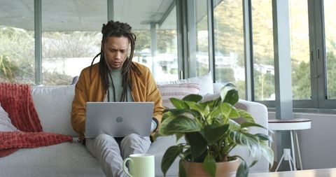 Mid adult man with dreadlocks working on laptop in bright cozy living room with plant