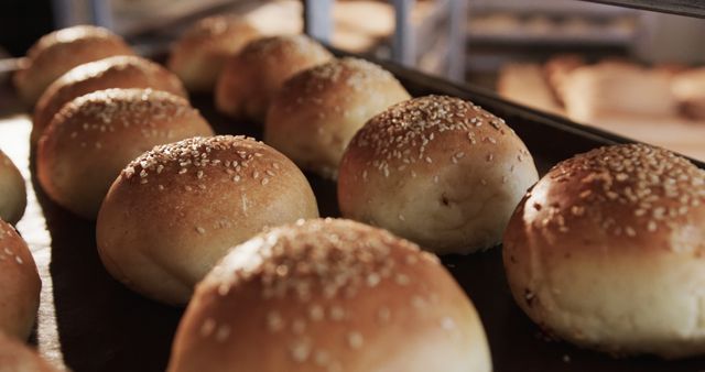 Freshly Baked Sesame Buns on Baking Tray in Bakery Kitchen - Download Free Stock Images Pikwizard.com