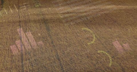 Digital Infographic Overlay on Agricultural Field Illustrating Growth and Progress