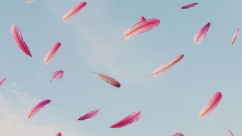 Floating pink feathers in serene blue sky