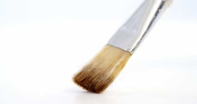 Close-up of Paintbrush with Fine Bristles Ready for Painting - Download Free Stock Images Pikwizard.com