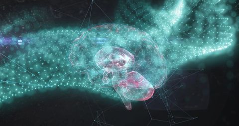 Futuristic Digital Brain with Glowing Blue Lights